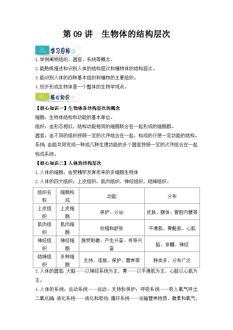 【暑假初中预备】人教版生物新七年级（六升七）暑假预习-第09讲 生物体的结构层次 讲学案