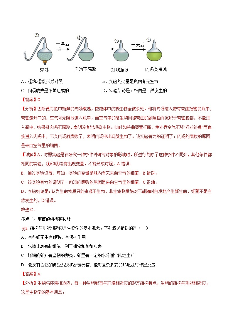 【暑假提升】人教版生物七年级（七升八）暑假预习-第07讲 细菌 讲学案03