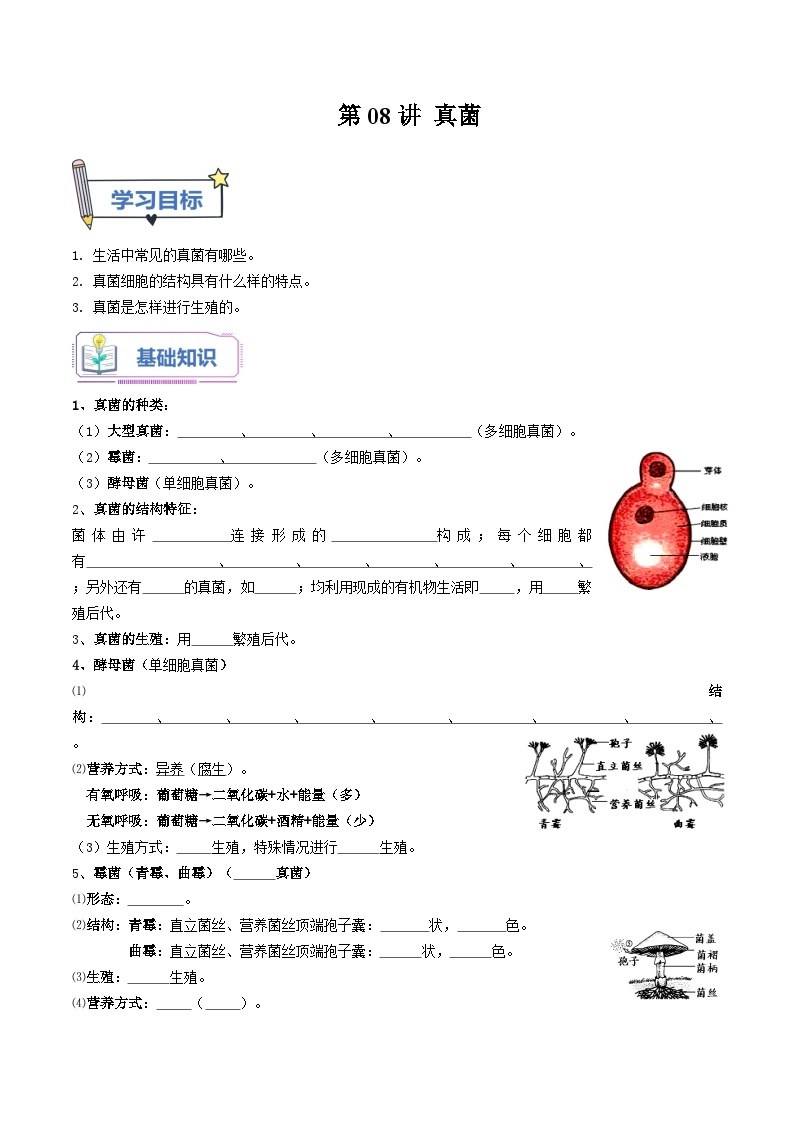 【暑假提升】人教版生物七年级（七升八）暑假预习-第08讲 真菌 讲学案01