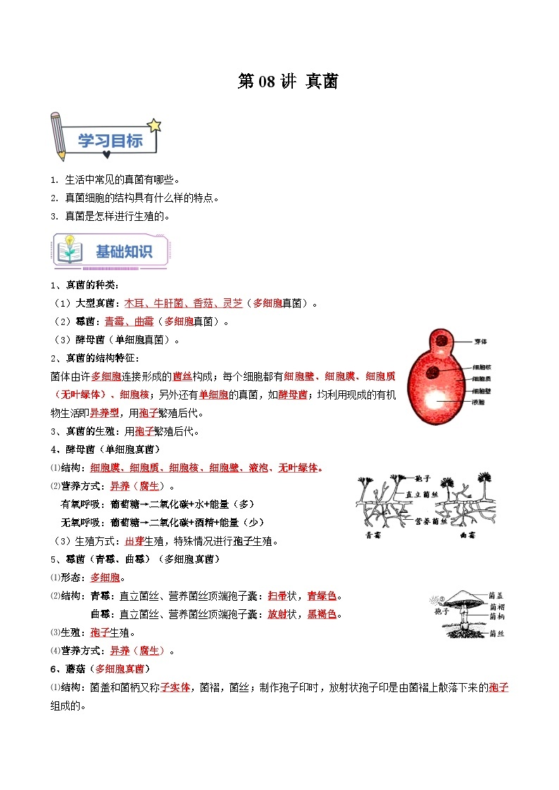 【暑假提升】人教版生物七年级（七升八）暑假预习-第08讲 真菌 讲学案01