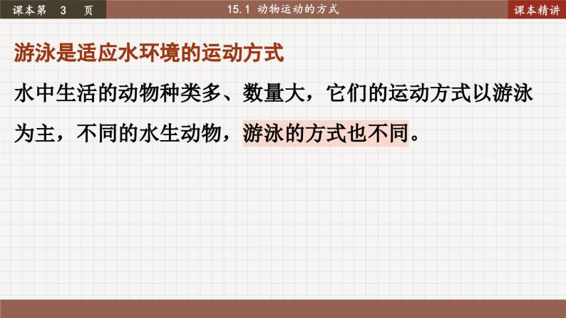 北师大版生物八上 15.1 动物运动的方式（课件PPT)07