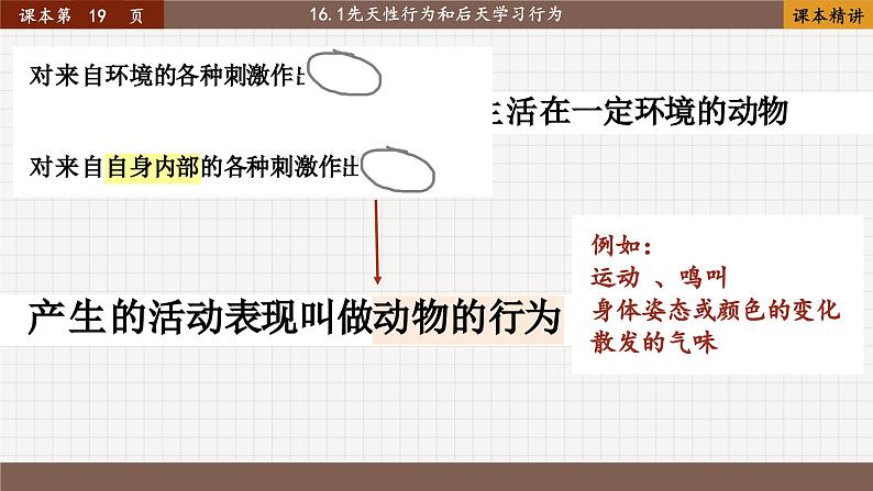 16.1 先天性行为和后天学习行为第2页