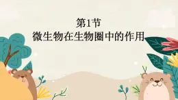 北师大版生物八上 18.1 微生物在生物圈中的作用（课件PPT)