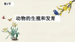 北师大版生物八上 19.2 动物的生殖和发育（课件PPT)