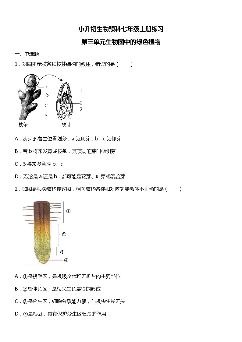 小升初生物预科七年级上册练习常考易错专项《第三单元生物圈中的绿色植物》01