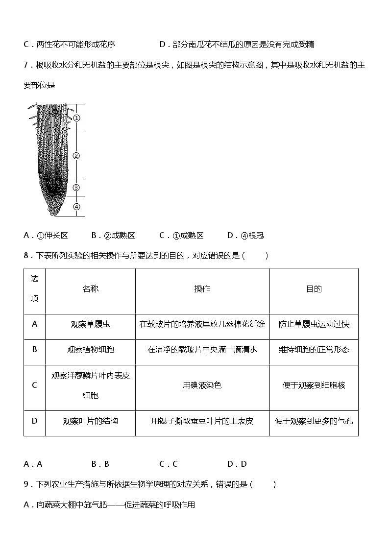 小升初生物预科七年级上册练习常考易错专项《第三单元生物圈中的绿色植物》03