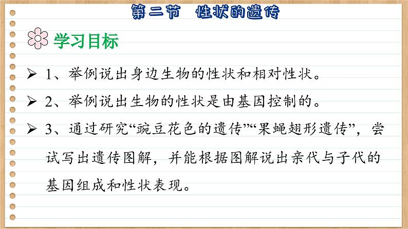 济南版生物八上 4.2 性状的遗传(课件PPT)05