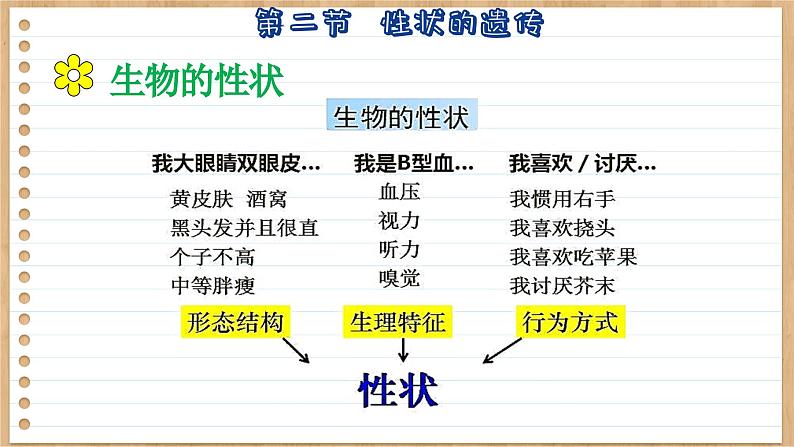 济南版生物八上 4.2 性状的遗传(课件PPT)06