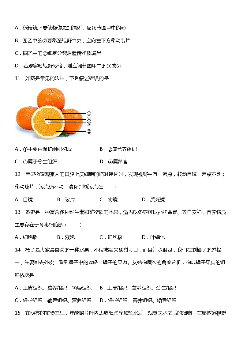 小升初生物预科七年级上册练习《第二单元生物体的结构层次》第3页