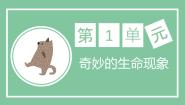 济南版第二节 生物的生活环境完美版ppt课件