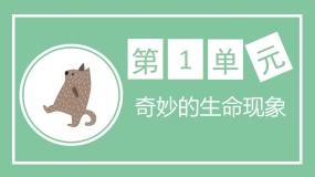 初中第二节 细胞的分裂与分化优质ppt课件