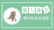 生物第三节 多细胞生物体的结构层次优质课件ppt