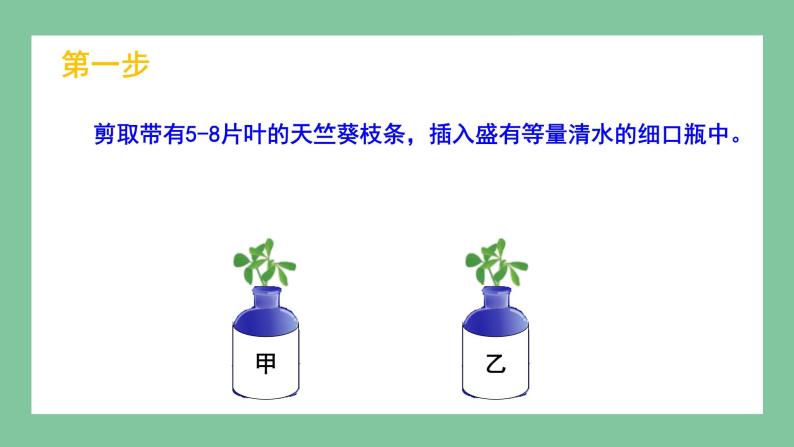 济南版生物七上 2.1.3 绿色植物的光合作用 第二课时（课件PPT)08