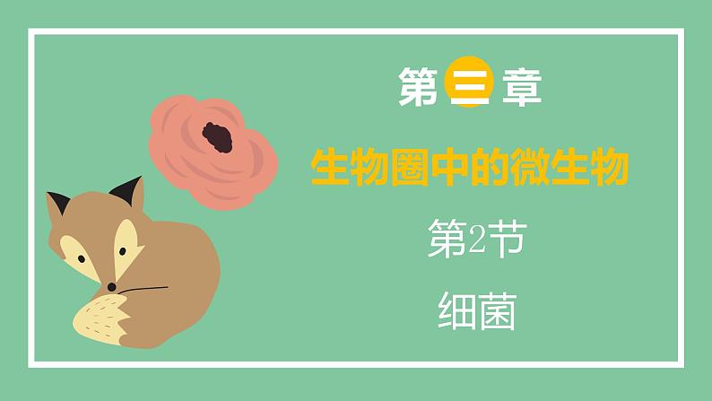 济南版生物七上 2.3.2 细菌 (课件PPT)02
