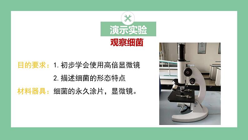 济南版生物七上 2.3.2 细菌 (课件PPT)08
