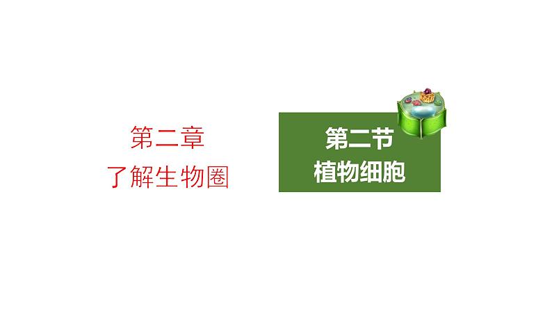 2.1.2植物细胞优化 课件-2023-2024学年人教版生物七年级上册第1页