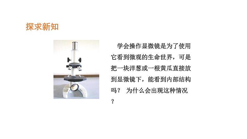 2.1.2植物细胞优化 课件-2023-2024学年人教版生物七年级上册第3页