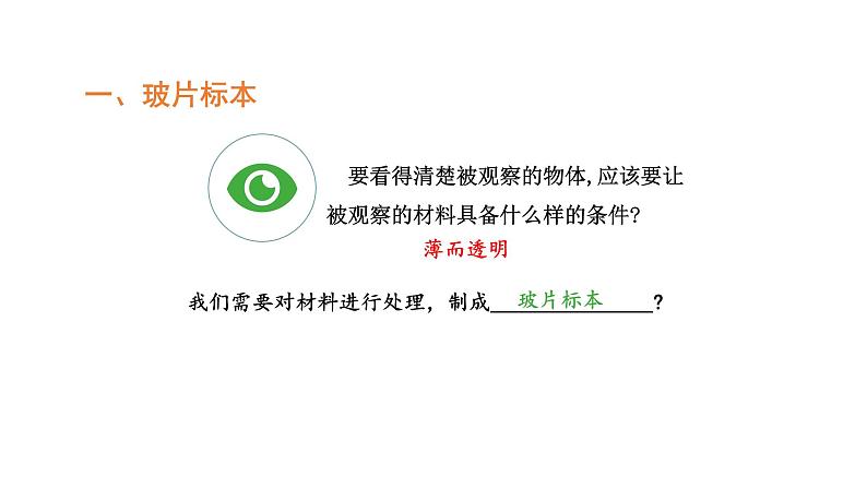 2.1.2植物细胞优化 课件-2023-2024学年人教版生物七年级上册第4页