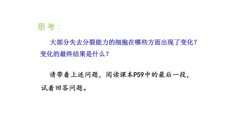 2.2.2动物体的结构层次优化 课件-2023-2024学年人教版生物七年级上册06