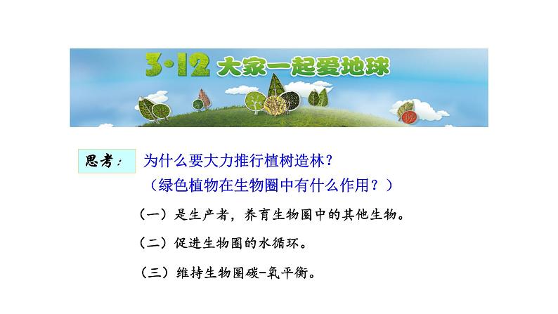 3.6爱护植被,绿化祖国优化 课件-2023-2024学年人教版生物七年级上册第3页
