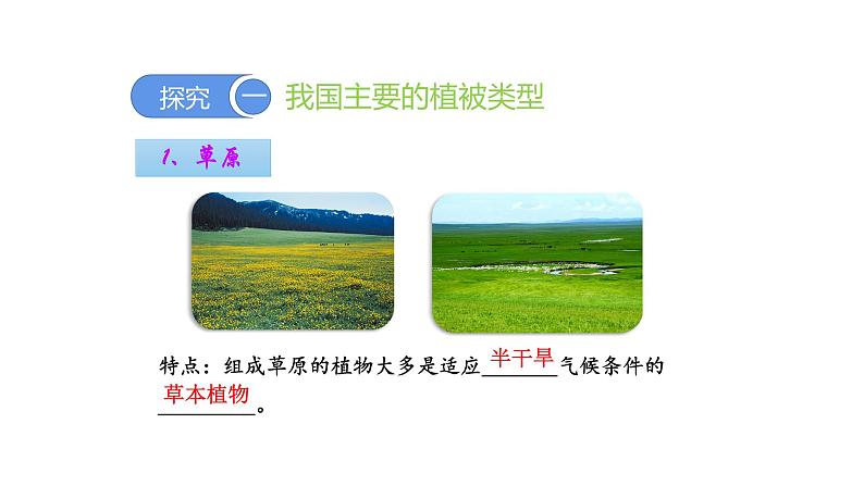 3.6爱护植被,绿化祖国优化 课件-2023-2024学年人教版生物七年级上册第5页