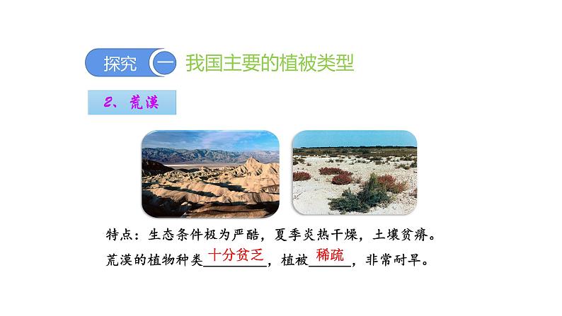 3.6爱护植被,绿化祖国优化 课件-2023-2024学年人教版生物七年级上册第6页