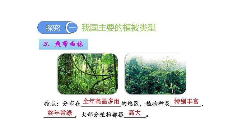 3.6爱护植被,绿化祖国优化 课件-2023-2024学年人教版生物七年级上册第7页