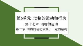 生物八年级上册第六单元 动物的运动和行为第十七章 动物的运动第二节 动物的运动依赖于一定的结构教学ppt课件
