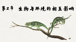 北师大版生物七上1.2 生物与环境的相互影响（课件PPT）