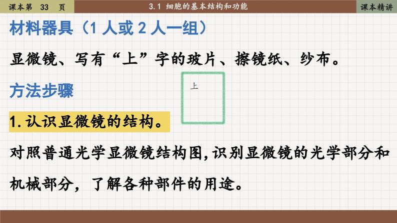 北师大版生物七上3.1 细胞的基本结构和功能（课件PPT）08