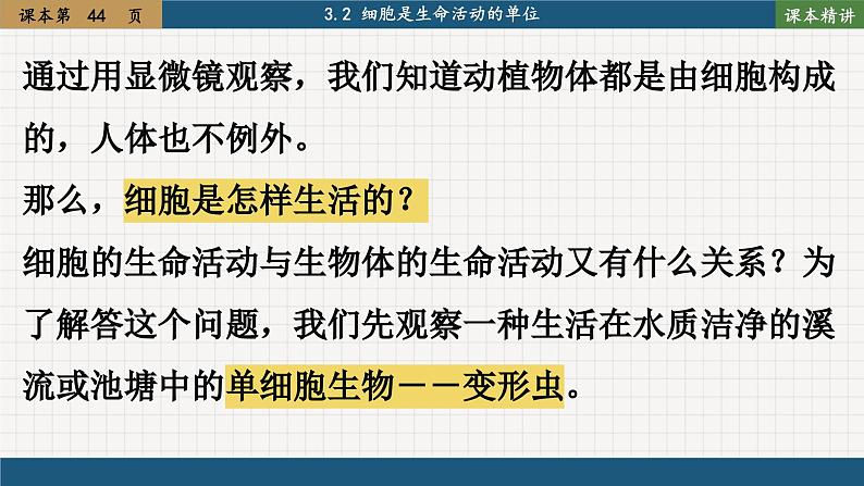 北师大版生物七上3.2 细胞是生命活动的单位(课件PPT)02