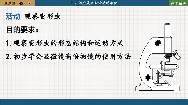 北师大版生物七上3.2 细胞是生命活动的单位(课件PPT)03