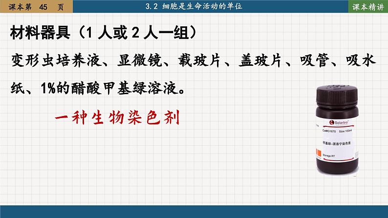 北师大版生物七上3.2 细胞是生命活动的单位(课件PPT)04