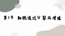 北师大版生物七上3.3 细胞通过分裂而增殖（课件PPT）