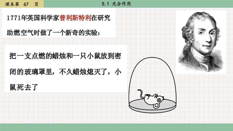 北师大版生物七上5.1 光合作用（课件PPT）08