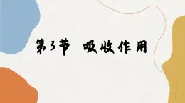 北师大版生物七上5.3 吸收作用（课件PPT）