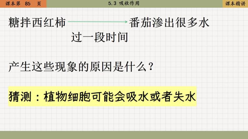 北师大版生物七上5.3 吸收作用（课件PPT）02