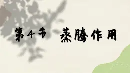 北师大版生物七上5.4 蒸腾作用（课件PPT）