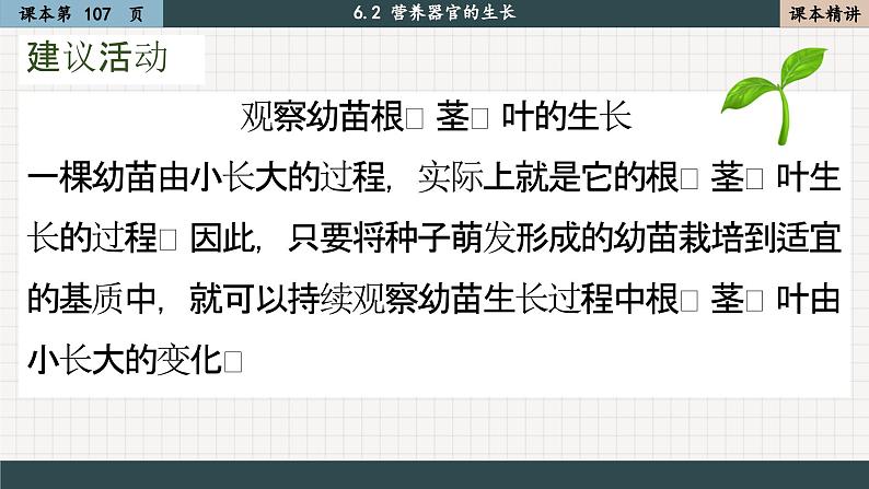 北师大版生物七上6.2 营养器官的生长(课件PPT)02