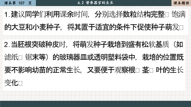 北师大版生物七上6.2 营养器官的生长(课件PPT)03