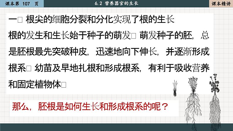 北师大版生物七上6.2 营养器官的生长(课件PPT)05