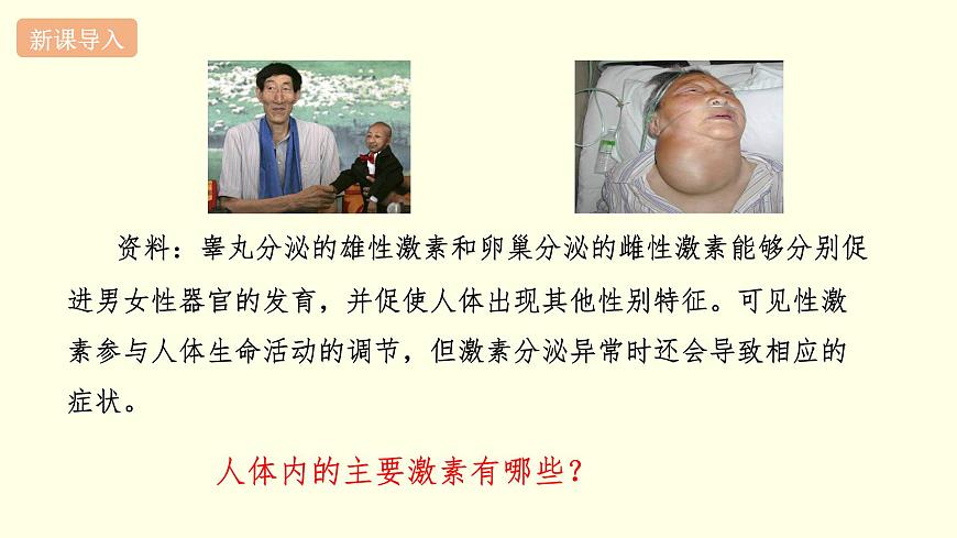 蘇科版生物八上16.3  人體的激素調(diào)節(jié)（課件PPT）第2頁