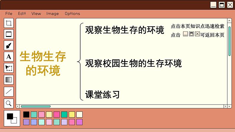 苏科版生物七上2.1 生物生存的环境(课件PPT)第2页