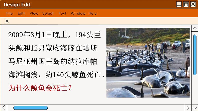 苏科版生物七上2.1 生物生存的环境(课件PPT)第3页