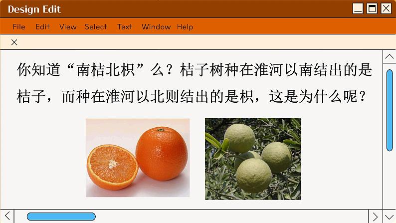 苏科版生物七上2.1 生物生存的环境(课件PPT)第4页