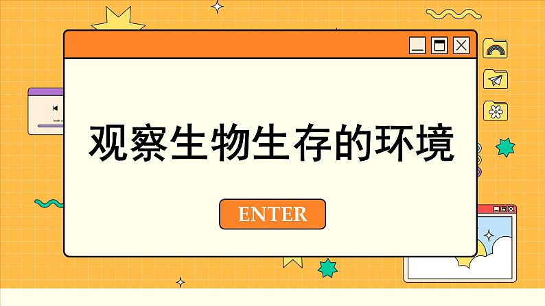 苏科版生物七上2.1 生物生存的环境(课件PPT)第7页