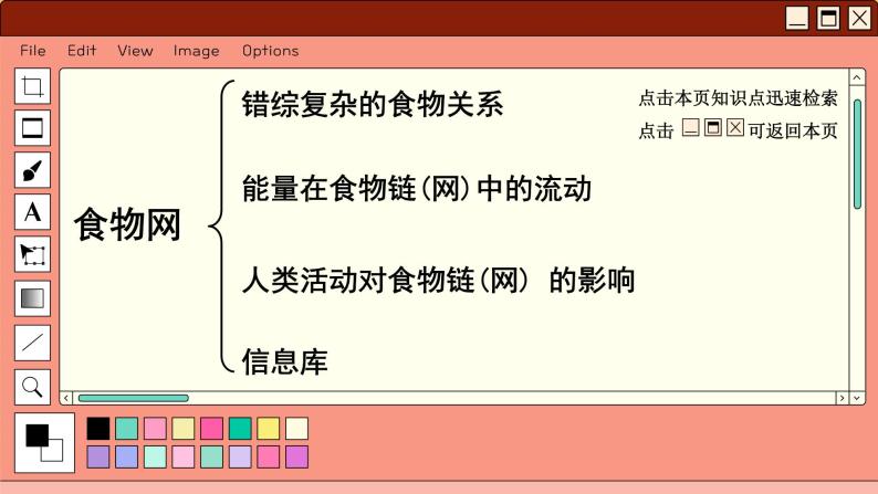 苏科版生物七上6.2 食物网（课件PPT）02