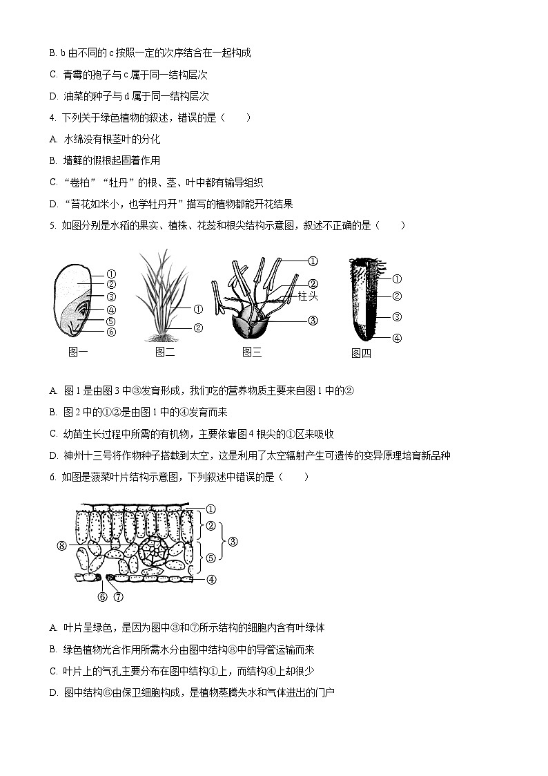 2023年山东省临沂市罗庄区中考二模生物试题(B卷)02