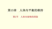 初中生物苏科版八年级上册2 人体内废物的排出说课课件ppt