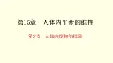 苏科版生物八上15.2  人体内废物的排除（课件PPT）